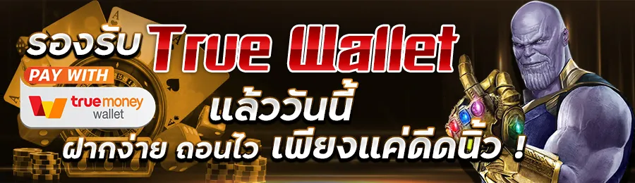 โปรโมชั่น (3)